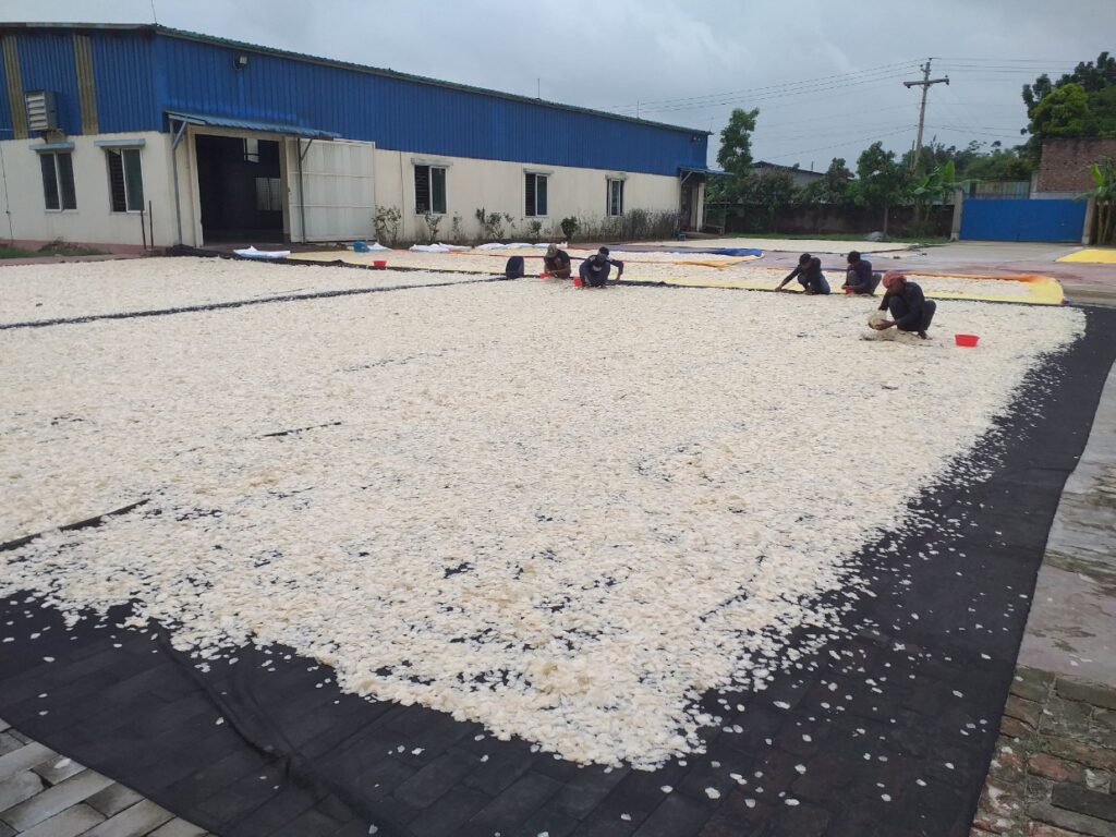 Decalcified Fish Scale Drying process